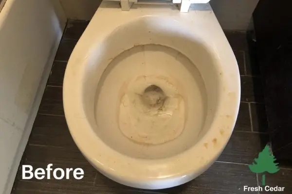 A dirty toilet